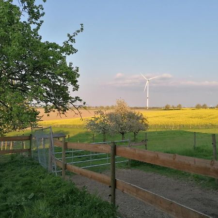 Sinnes Wandel Hof Serka Grimma Kültér fotó